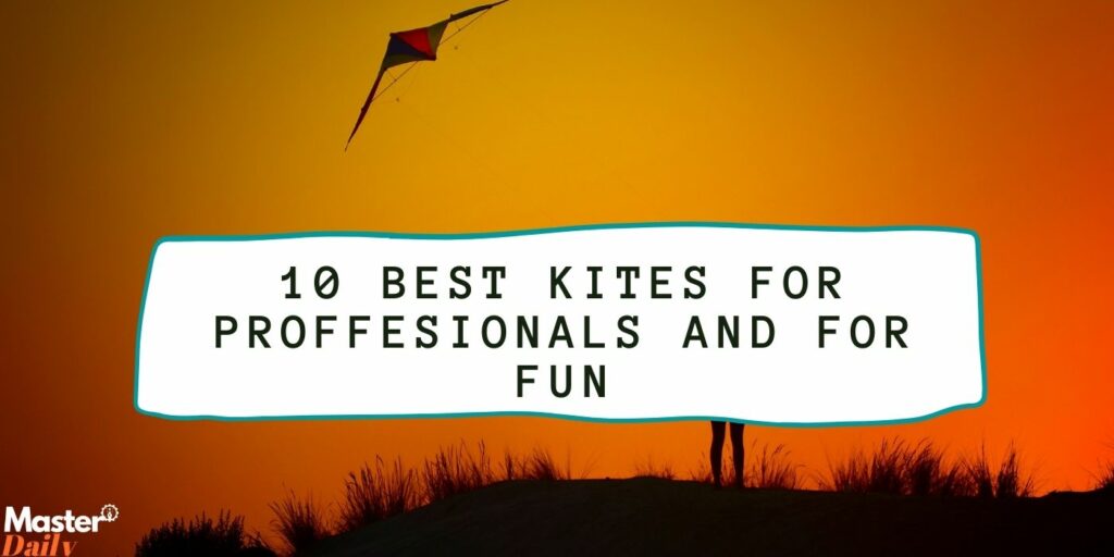10 Best Kites For Professionals and For Fun