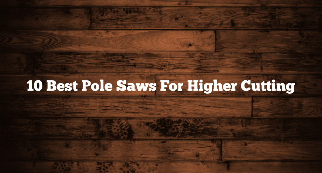 10 Best Pole Saws For Higher Cutting