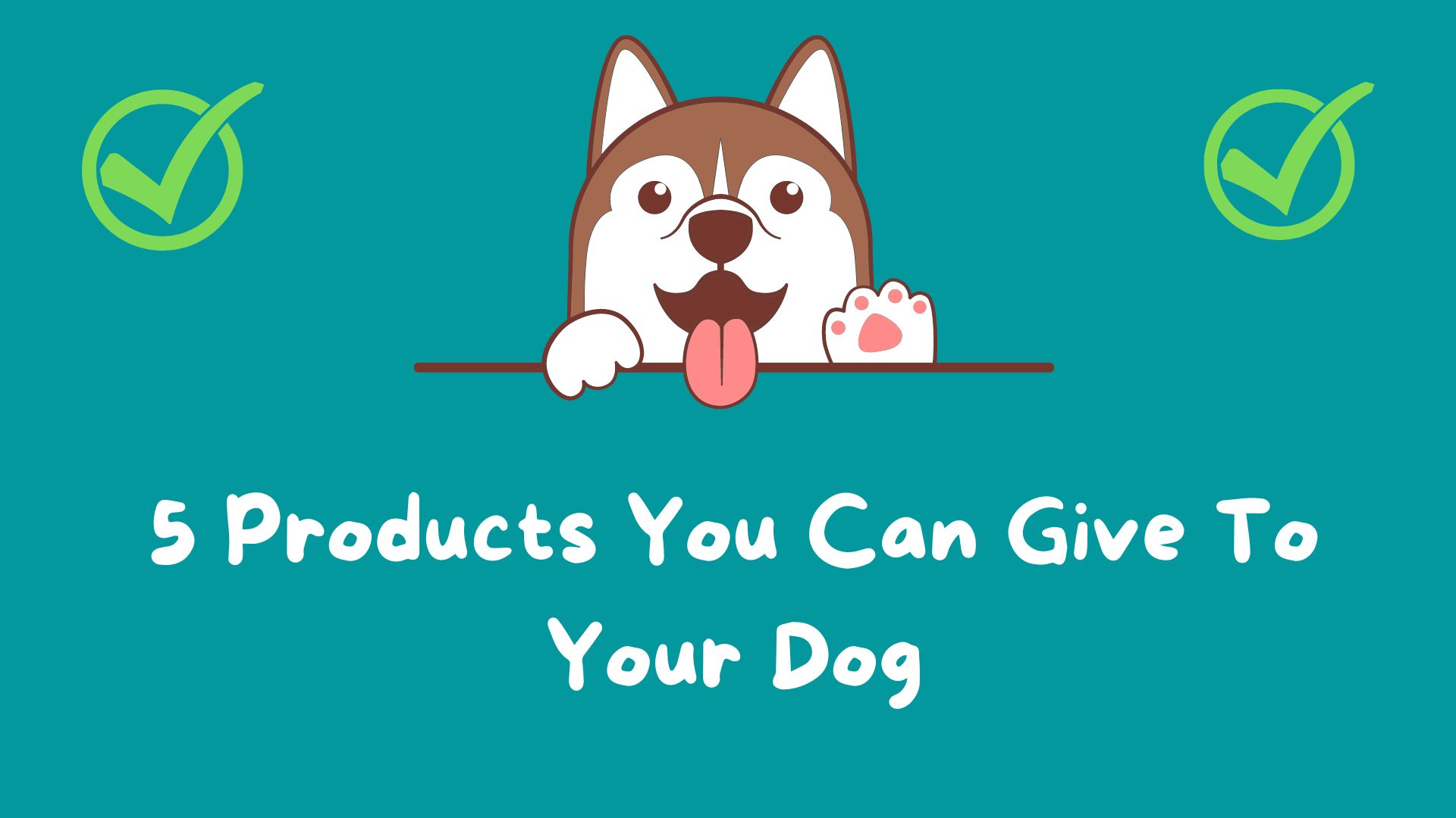 5 Products You Can Give To Your Dog