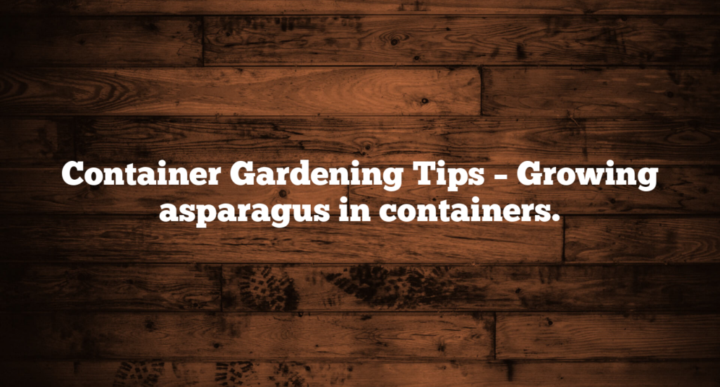 Container Gardening Tips – Growing asparagus in containers.