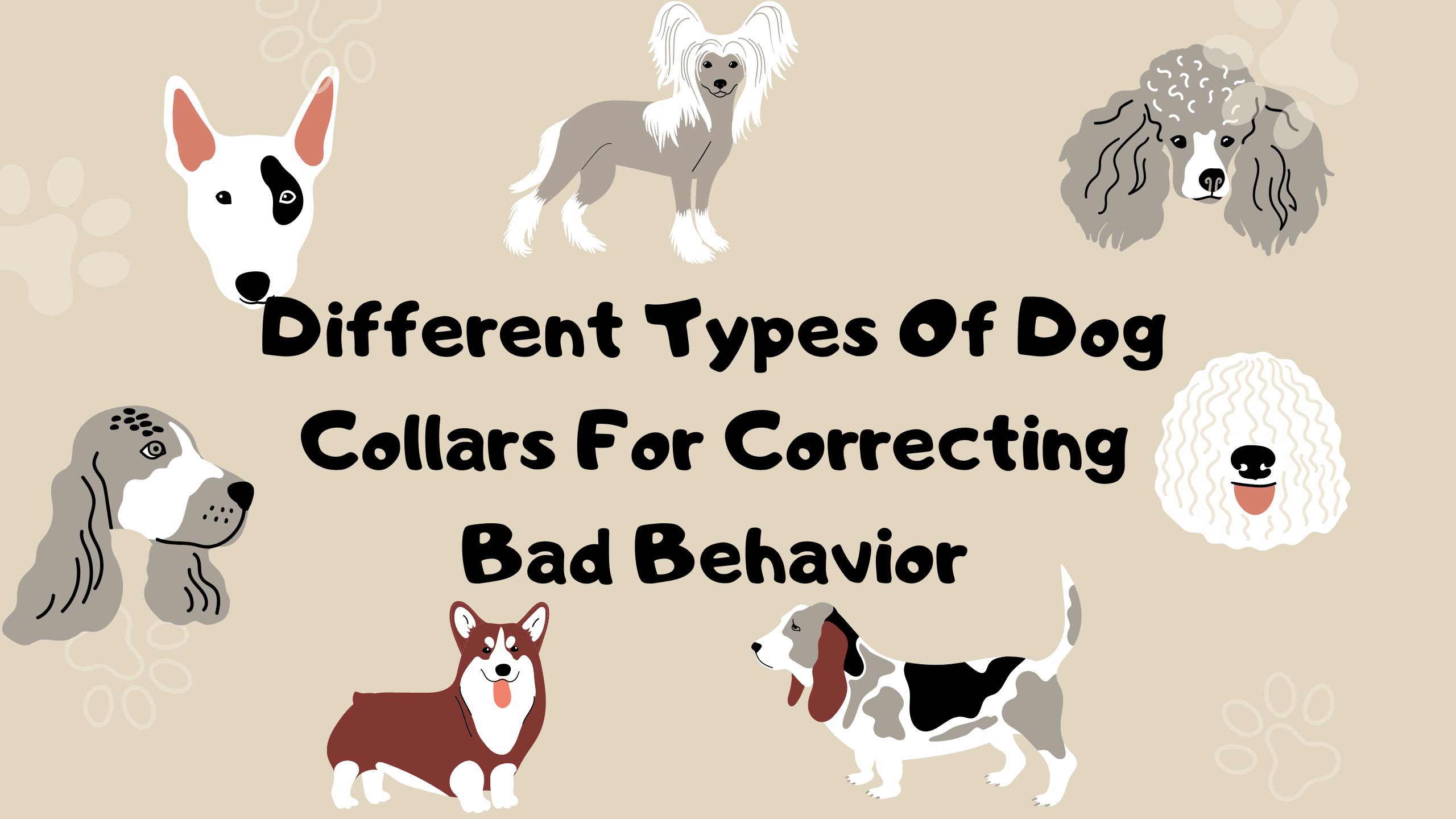 Dog Collars For Correcting Bad Behavior