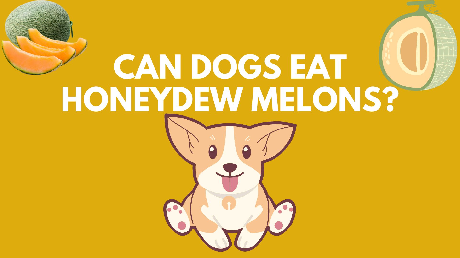 Can Dogs Eat Honeydew Melons?